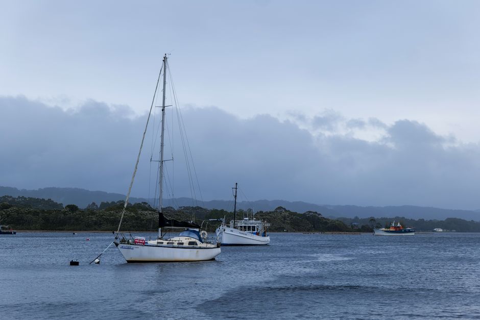 Tasmanian clean tech startups are racing ahead: what's happening in the local scene right now
