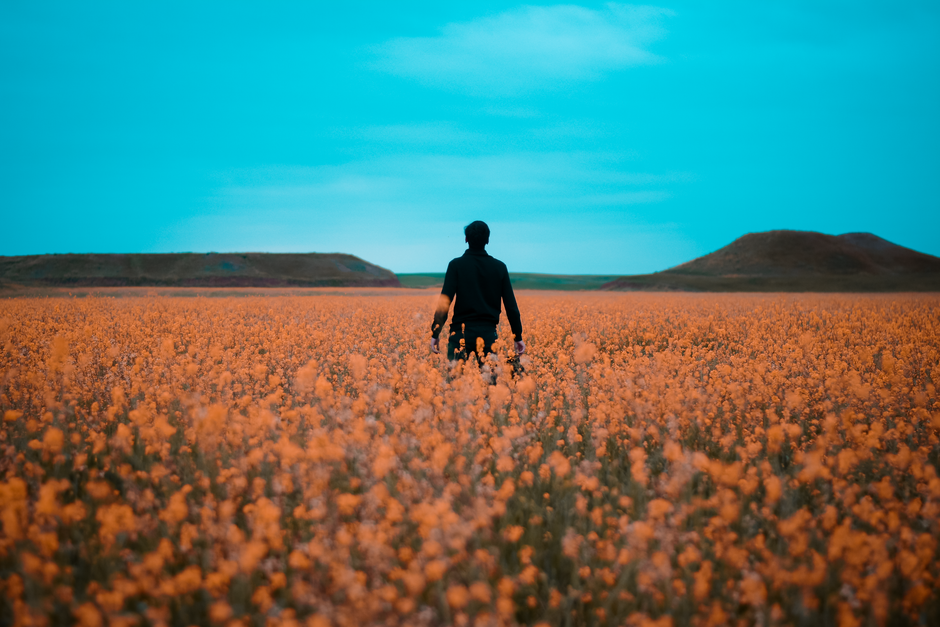 Walking Meditation: How to Turn Your Daily Walk Into Mindfulness