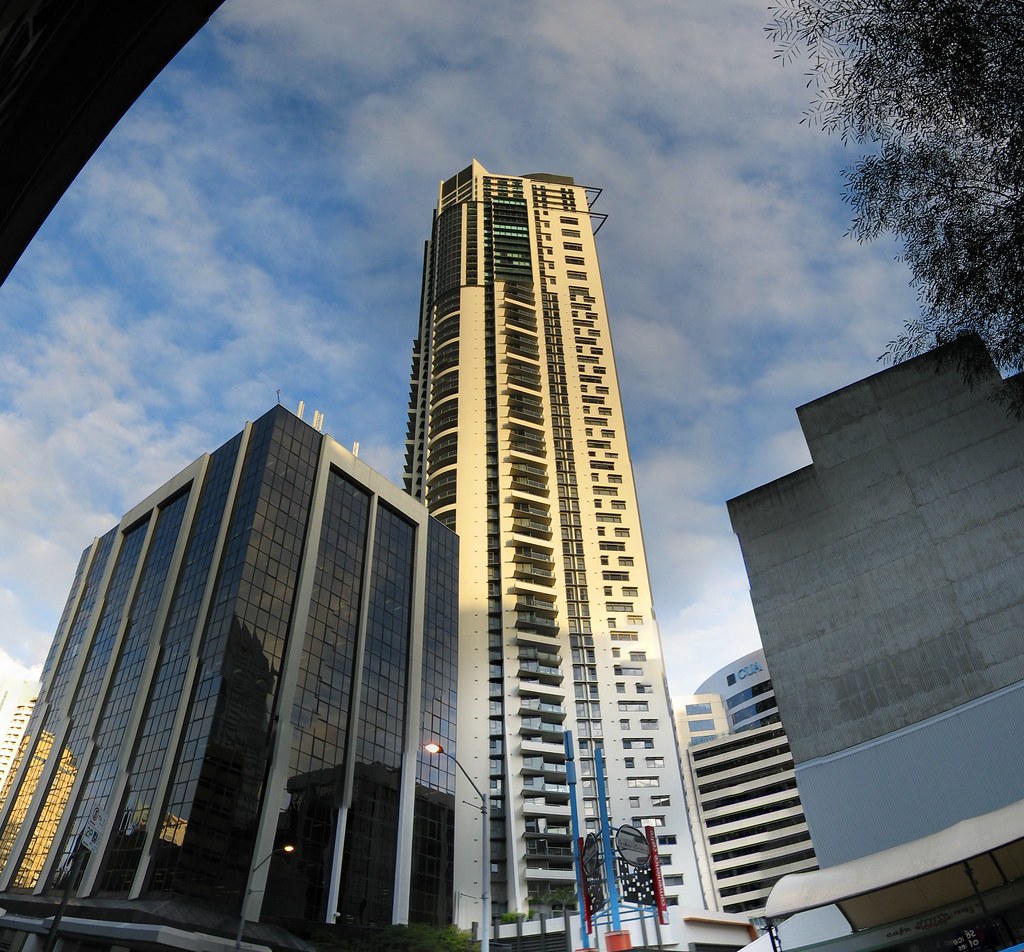 Adelaide Auction Bidding Strategy: Win in Prospect & Norwood