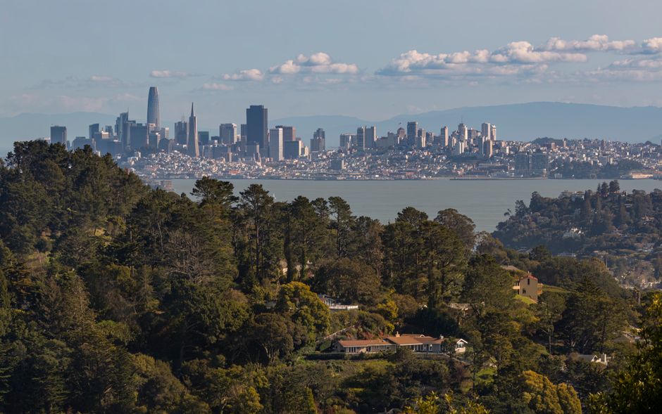 Making a Splash: How San Francisco's Aquatic Centres Are ...