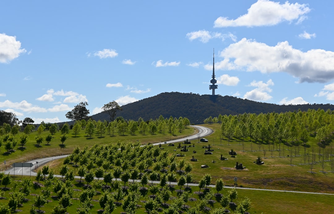 CanberraAI Labs helps local SMEs automate operations affordably