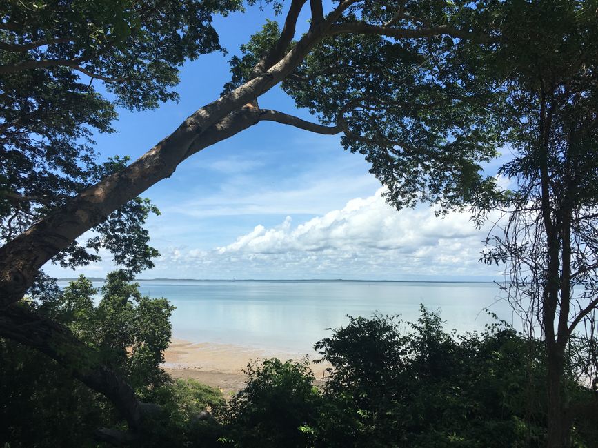 Parkrun and the Best Places to Run in Darwin's Great Outdoors