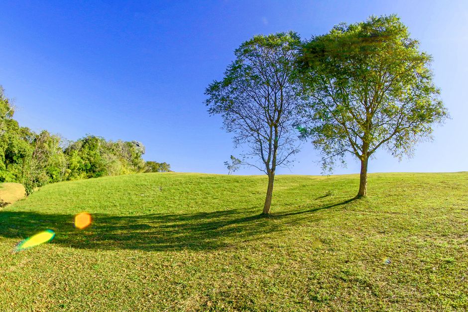 Bracken-ridge lands face community scrutiny over density plans in Belconnen Town Centre