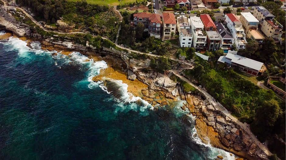 Darwin's Hot Auction Market: How to Prepare a Winning Bid Strategy