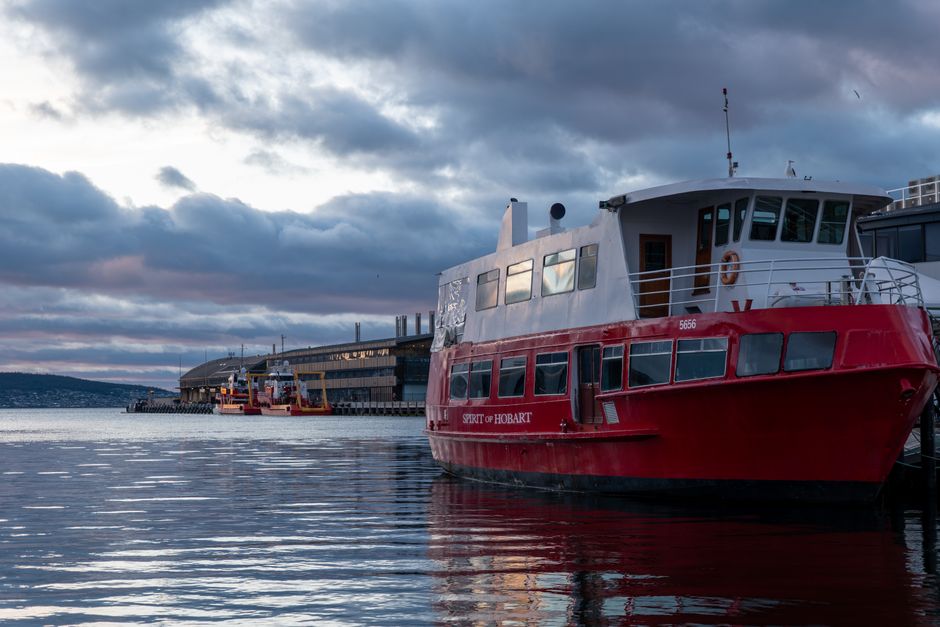 Hobart's Smart City Push: Inside the Tech Startups Reshaping Tasmania's Digital Future
