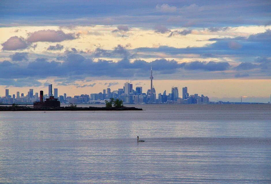 Toronto's Best Activities and Events Happening Today