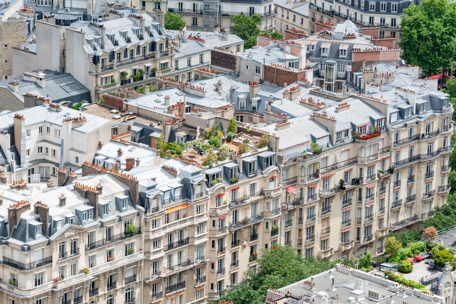 Where Paris Breathes: The Quiet Heroes Tending Our City's Green Soul