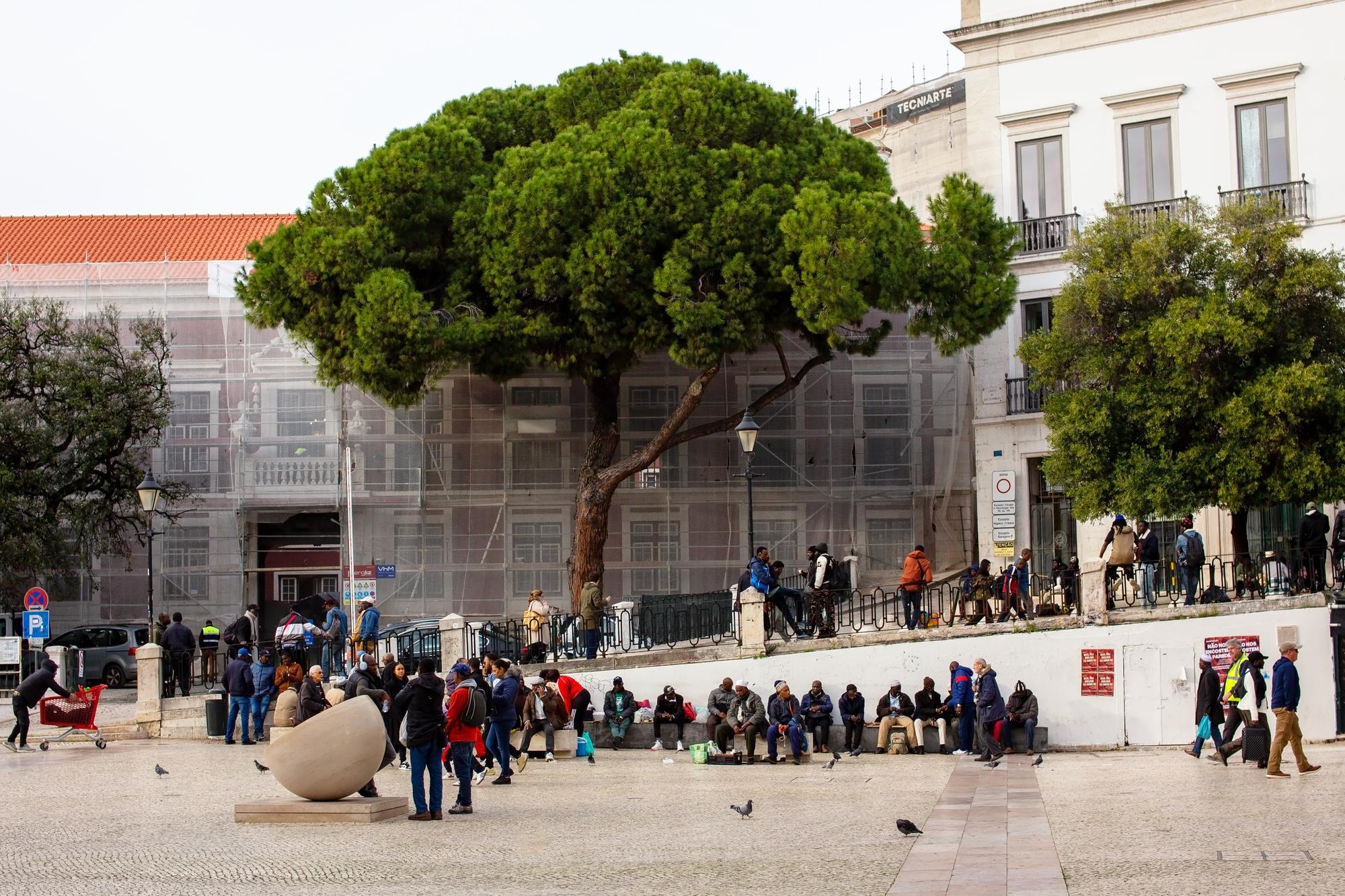 Lisbon's Job Market Shifts Amid Global Turmoil