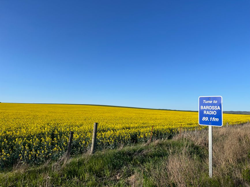 Hunter Valley and Katanning at Forefront as Fresh Opportunity Shapes Australia’s Business Scene