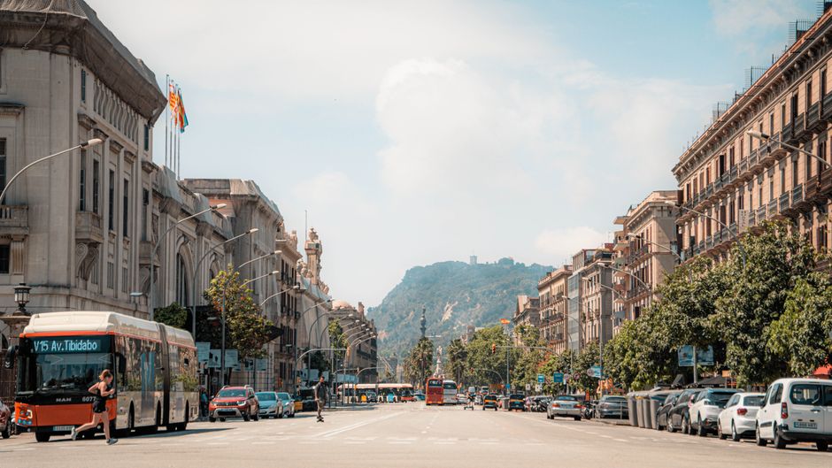 From Urban Walls to Mountain Peaks: How Barcelona's Climbing Clubs Are Building Unbreakable Communities