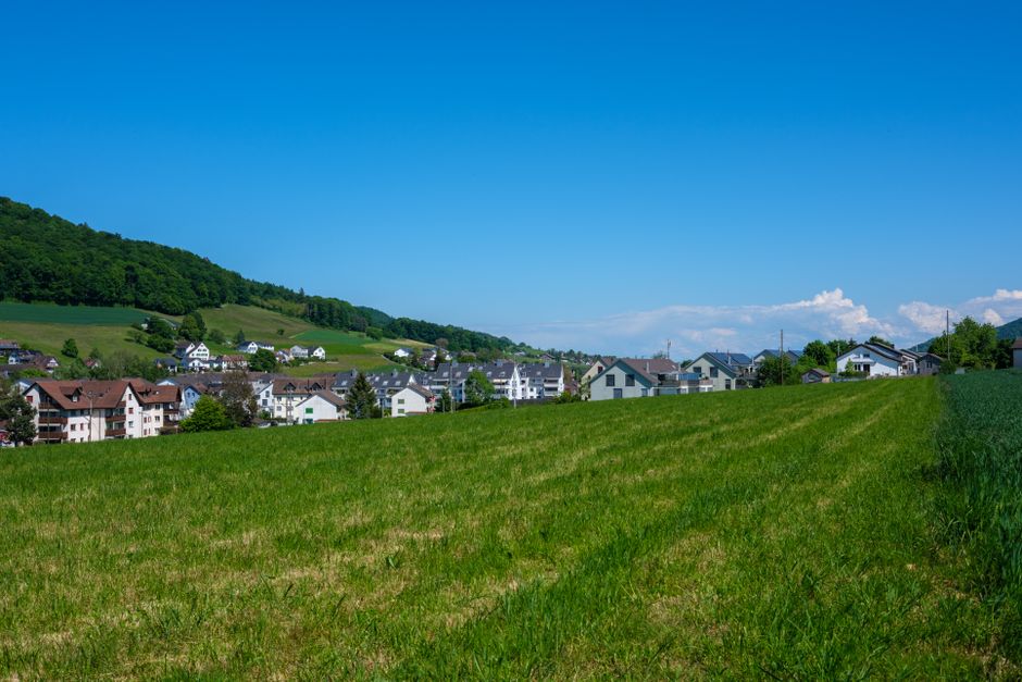 First-Time Buyer's Guide: Navigating Zurich's Tight Rental Market in 2026