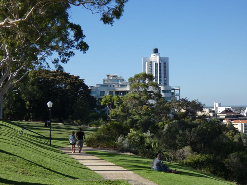 Nature Walks Perth: Hidden Trails Locals Love