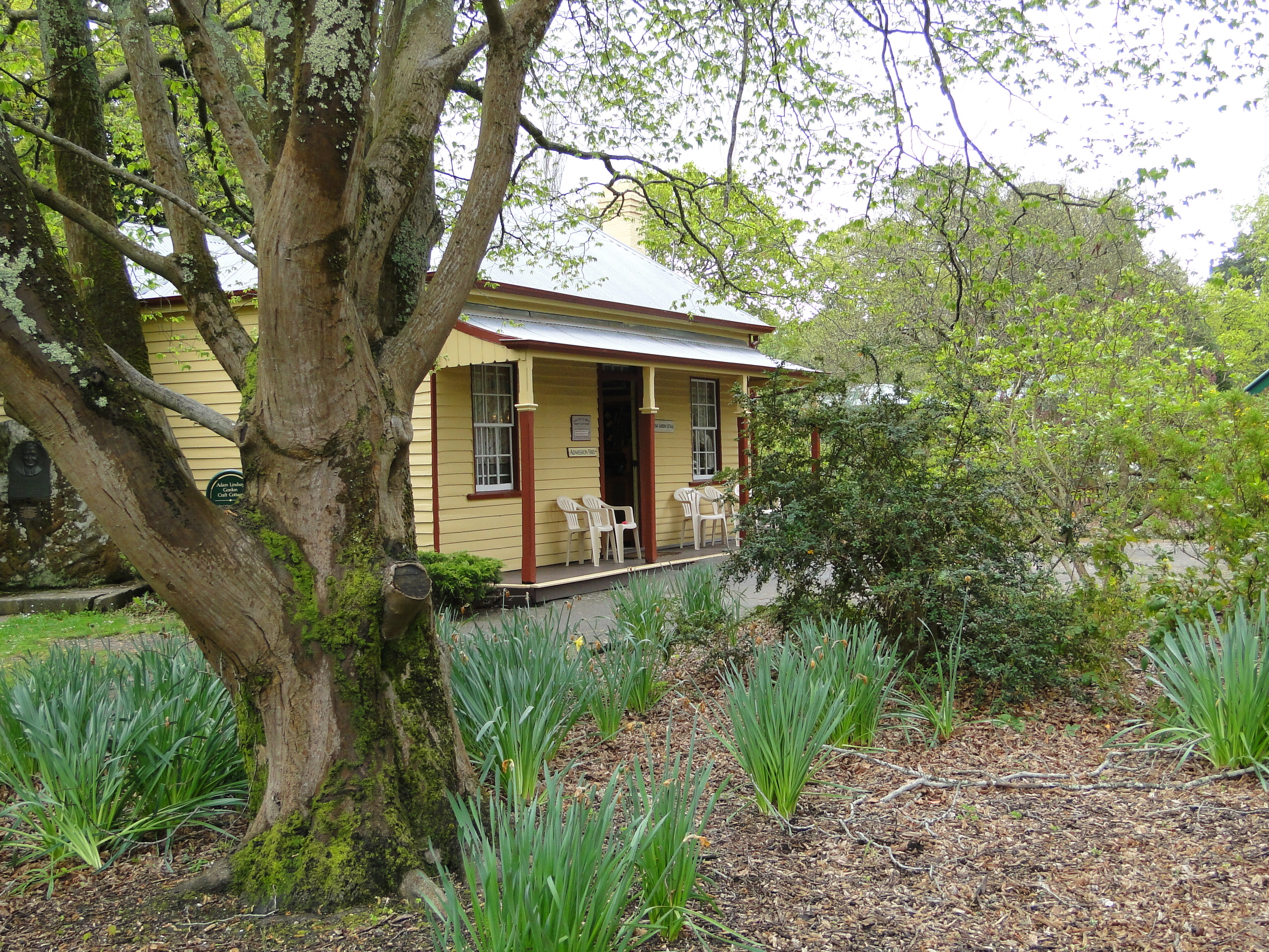 How Ballarat’s Home Gardening Scene is Flourishing Amid Urban Renewal