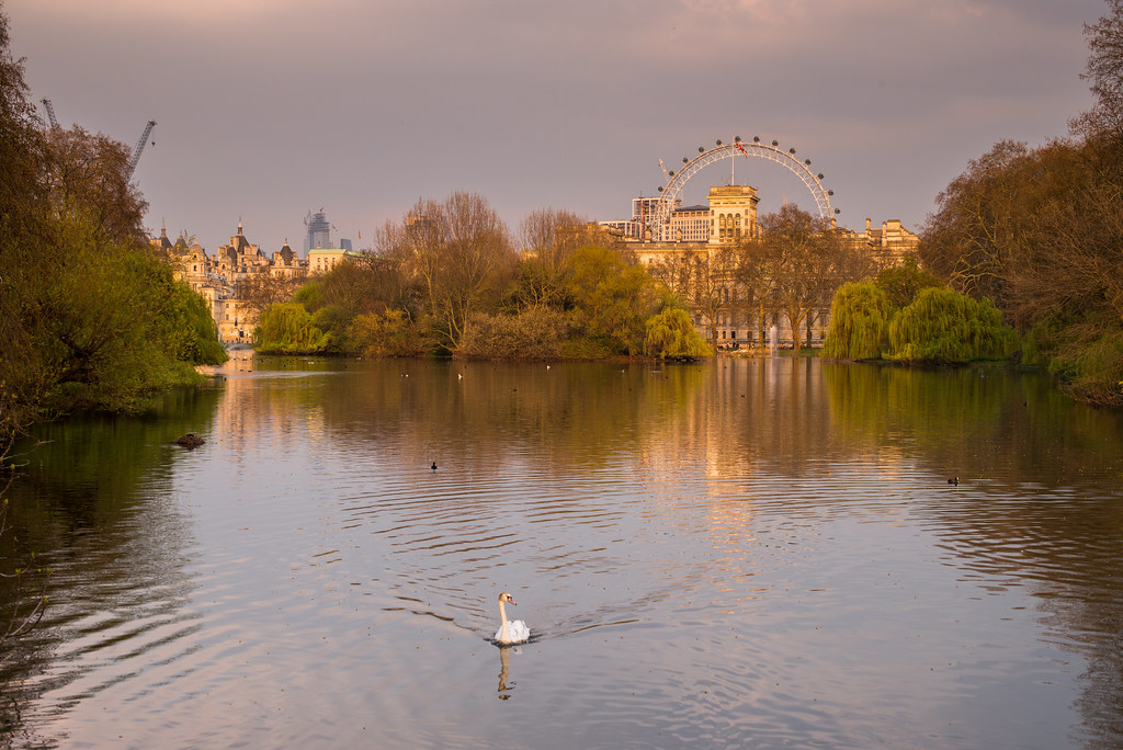 London's Free Weekend: Walks, Exhibitions, Park Events Across City