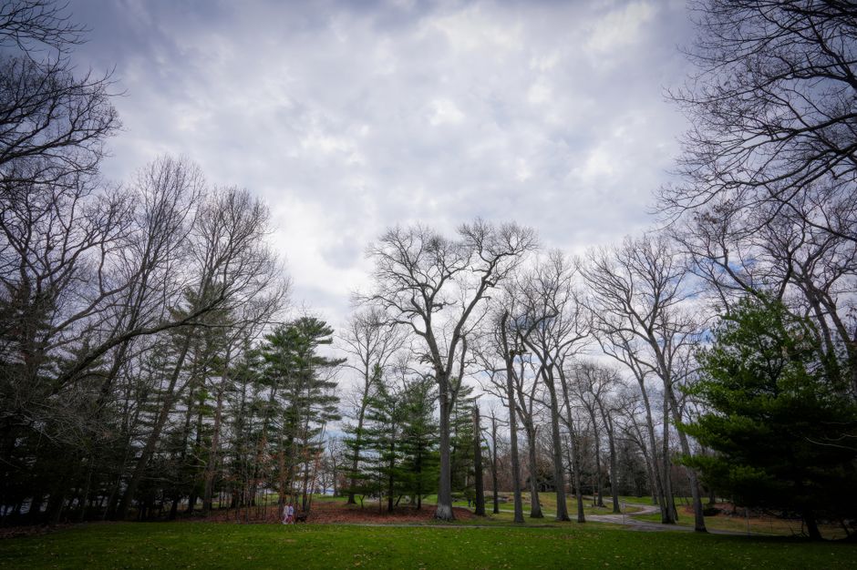 Winter in the Woods festival transforms National Arboretum into seasonal drawcard