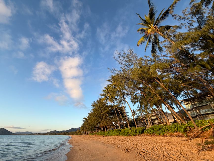 Cairns Property Market in 2026: North Queensland's Unnoticed Opportunity