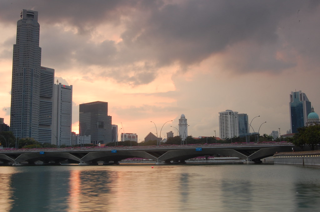 Reading the Tea Leaves: How Singapore's Economic Indicators Signal Where Jobs Are Heading