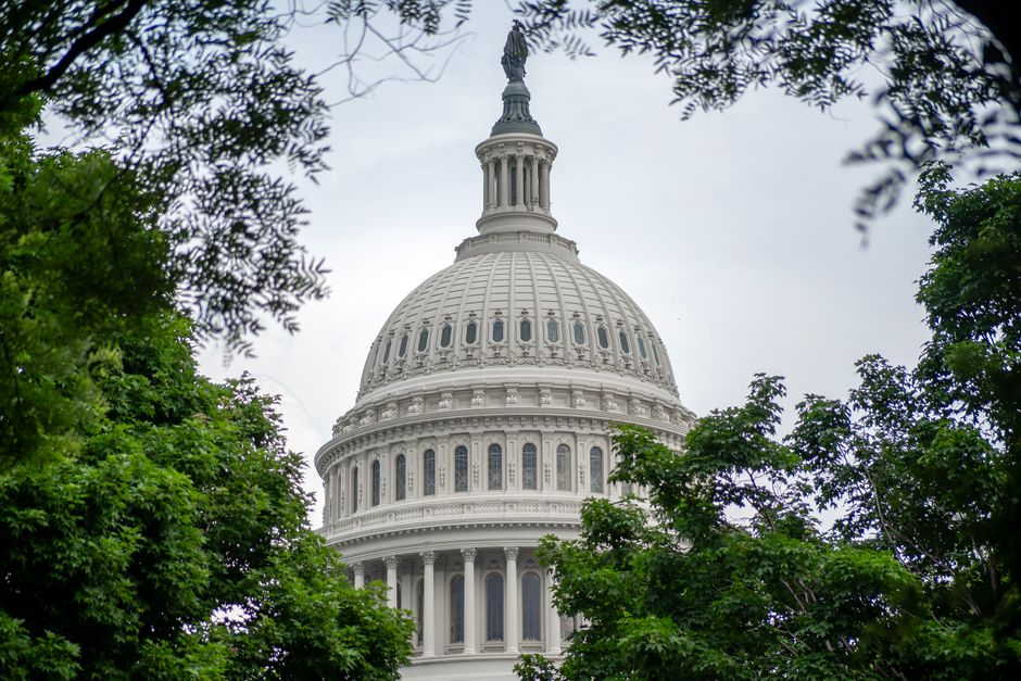 DC's Migrant Communities Face Critical Crossroads: What Comes Next in Summer 2026