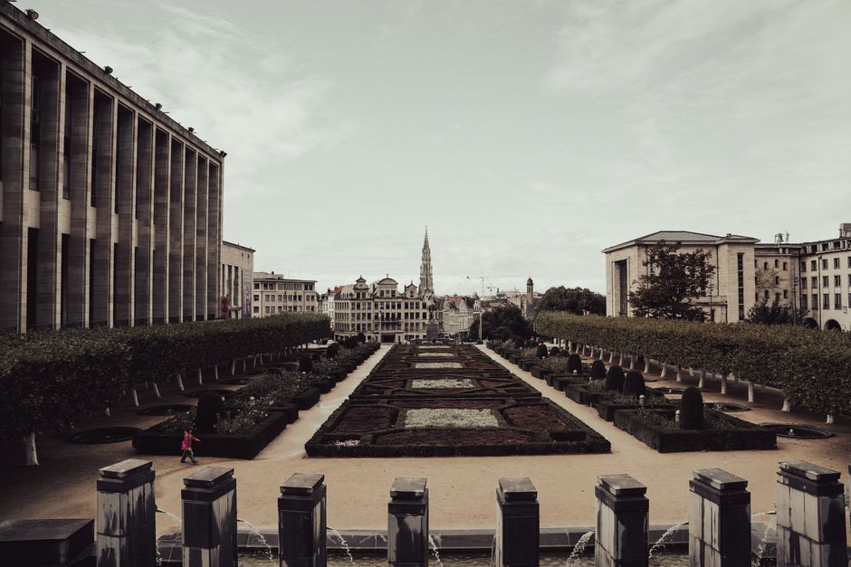 What Officials, Experts, and Key Figures Are Saying About Duplicate Image Replacement in Brussels