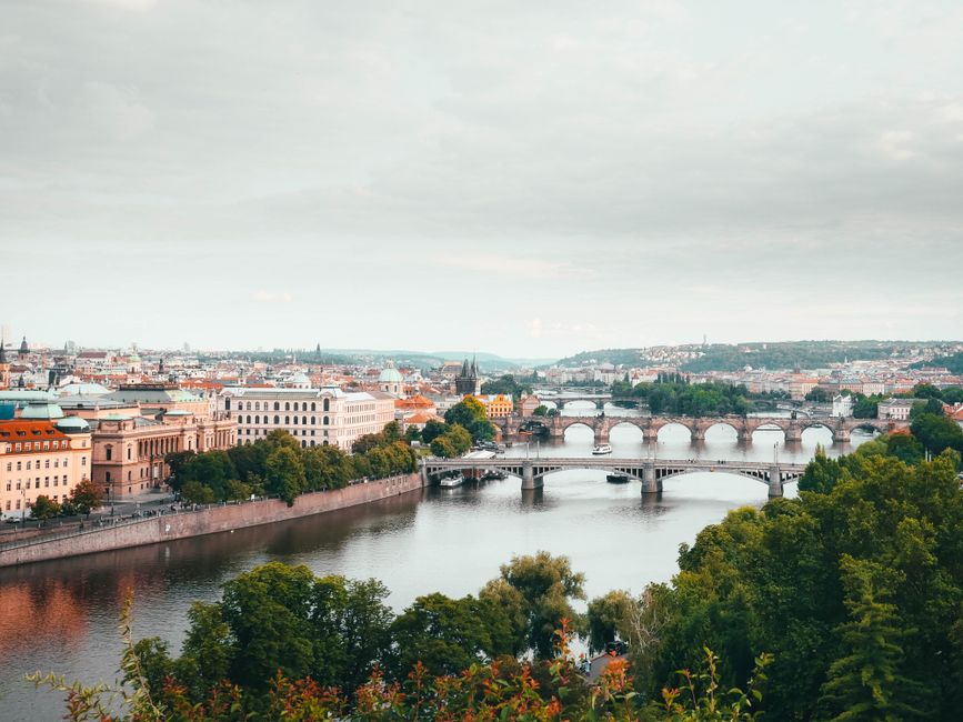 Prague's Digital Archives Are Drowning in Duplicate Images — and the Numbers Tell a Sobering Story