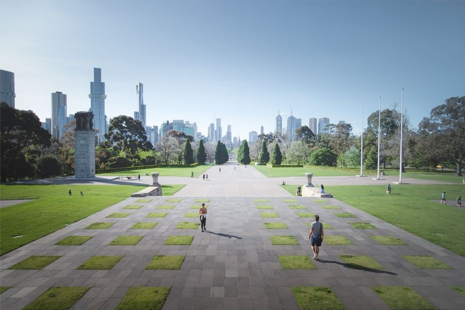 Dog Parks Melbourne: Your Complete Local Guide