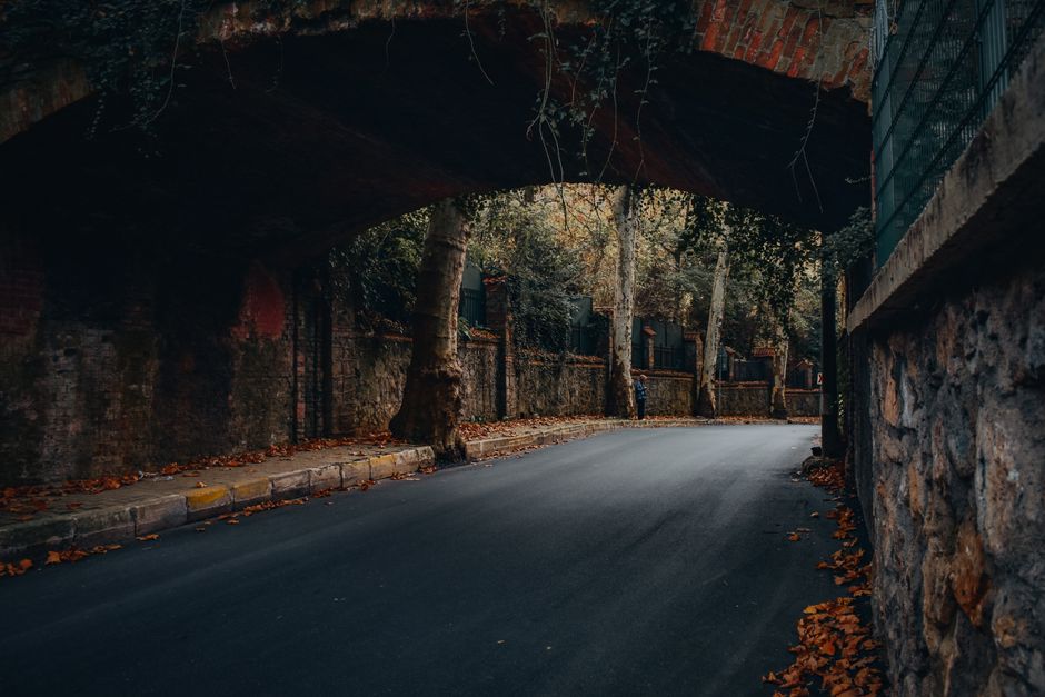 Istanbul's Hidden Gems: The Local Parks and Nature Walks Tourists Miss