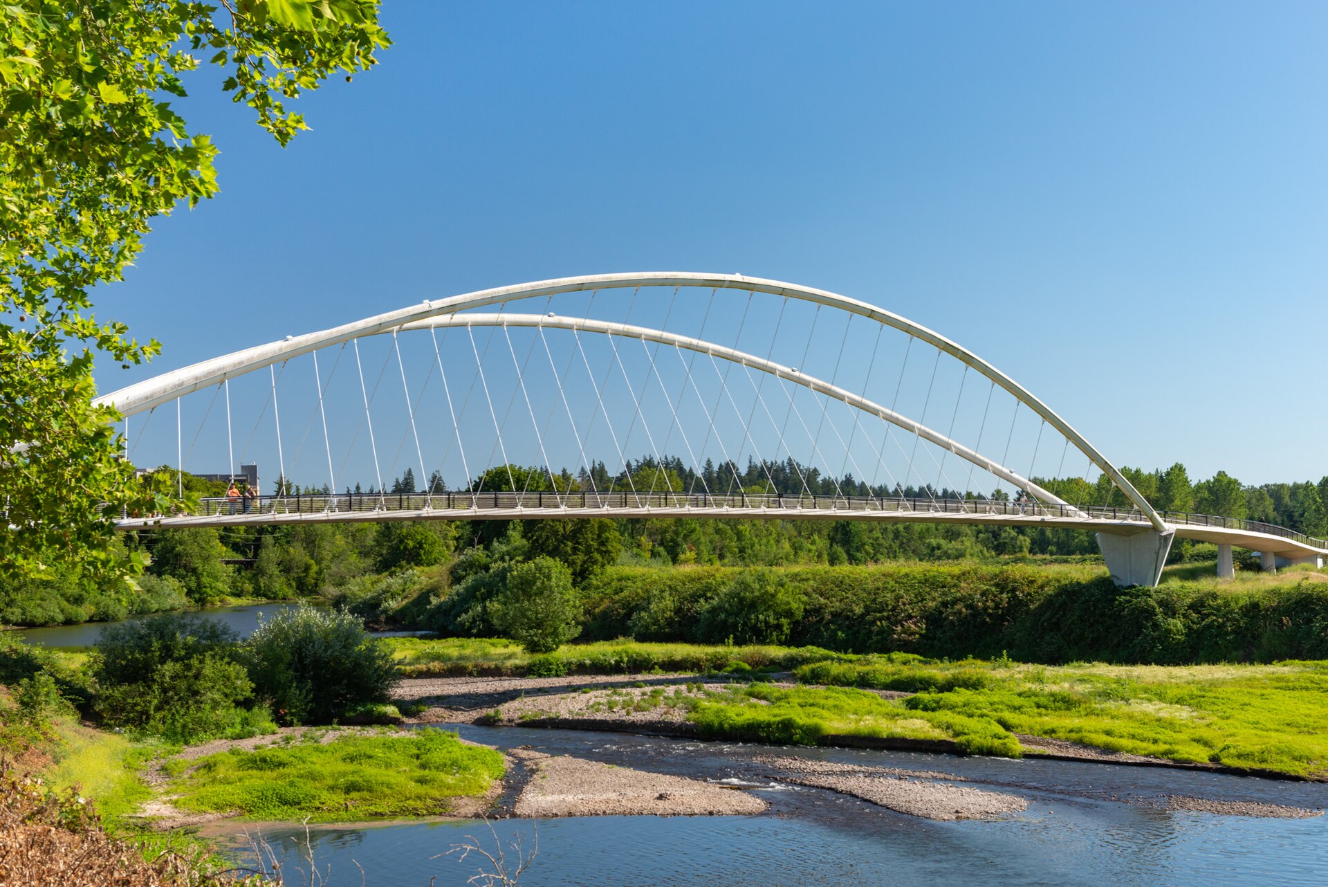 Ironman 70.3 Oregon Concludes in Salem, Sets Stage for Future Events