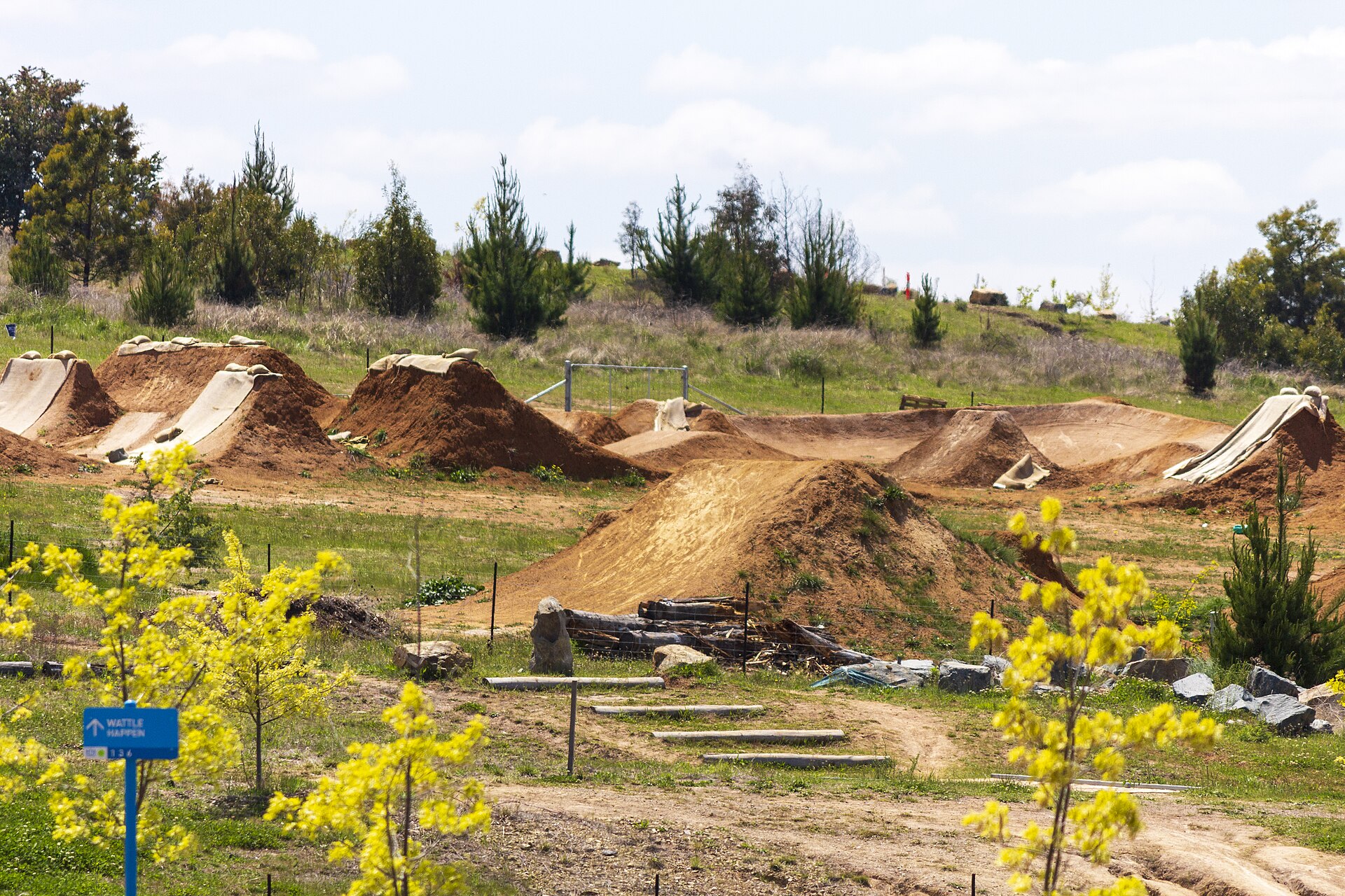 World-Class Trails on Your Doorstep: Mountain Biking at Stromlo Forest Park