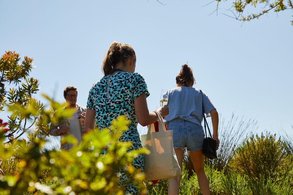 Summer Weekends Unlocked: Your Practical Guide to Day Trips and Leisure Beyond Central Tokyo