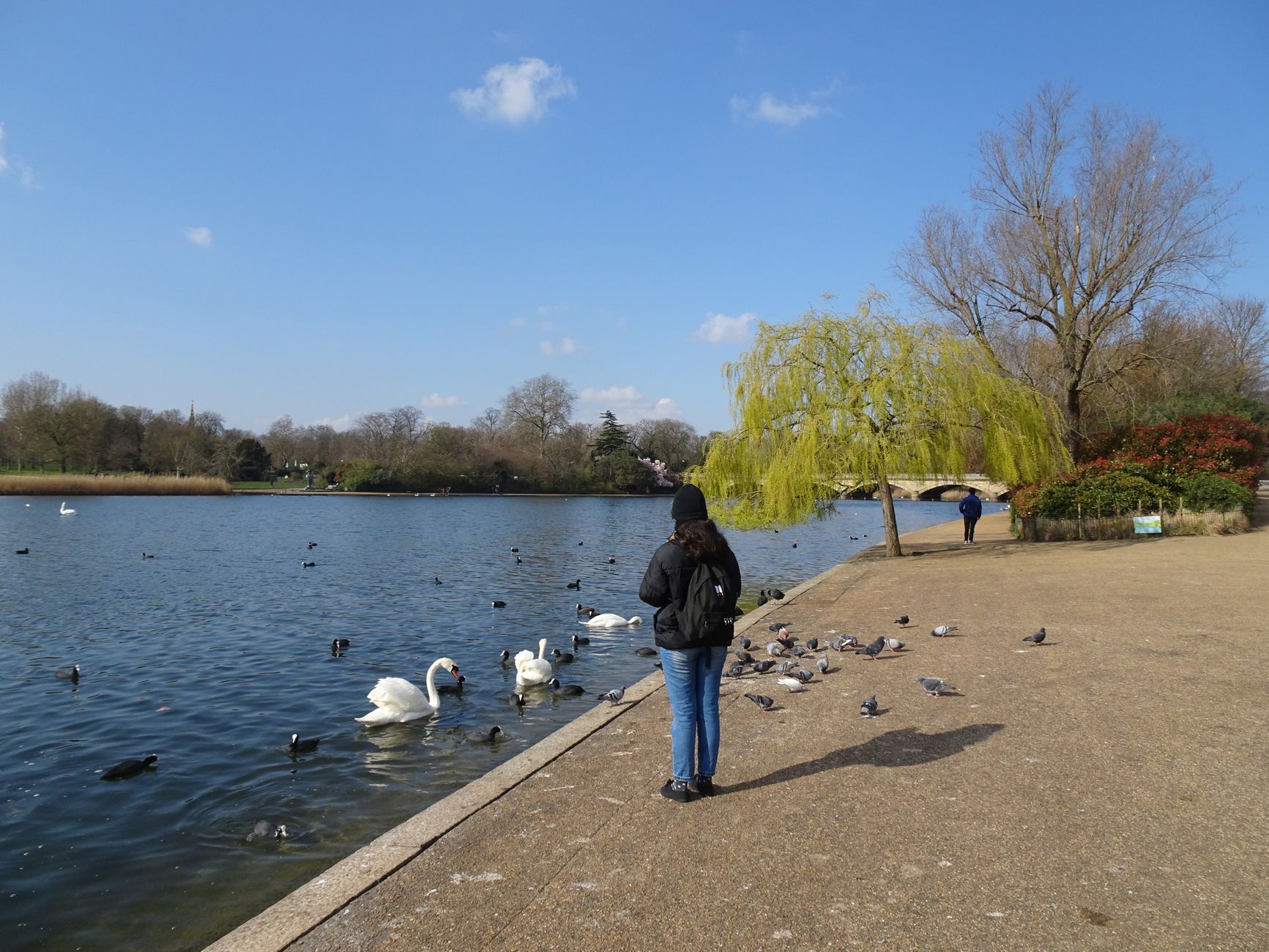 The Evidence Behind Prevention: What Science Says About London's Screening Culture