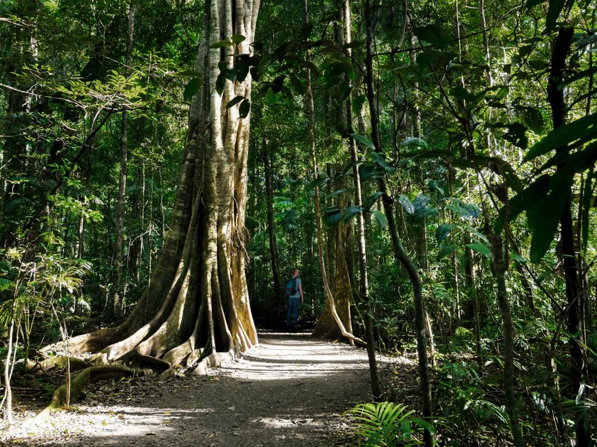 Walking meditation: how to turn your daily walk into mindfulness