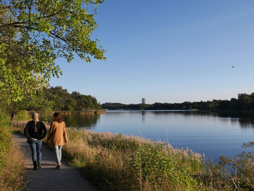 Off-the-Plan vs Established: First Home Buyer Comparison in Stockholm