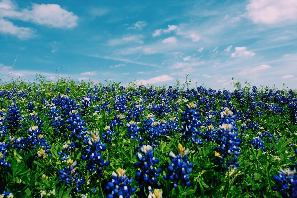 Austin Tech Jobs Bring Promise Alongside Risks and Ethical Questions