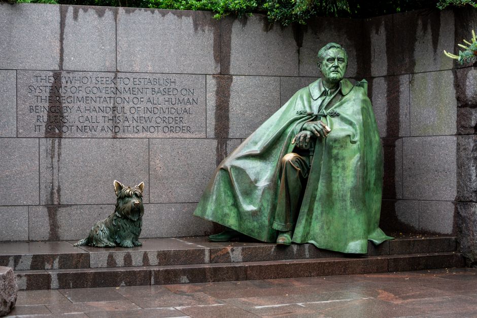 Dog-Friendly Parks Double as Social Fitness Hubs in Washington DC