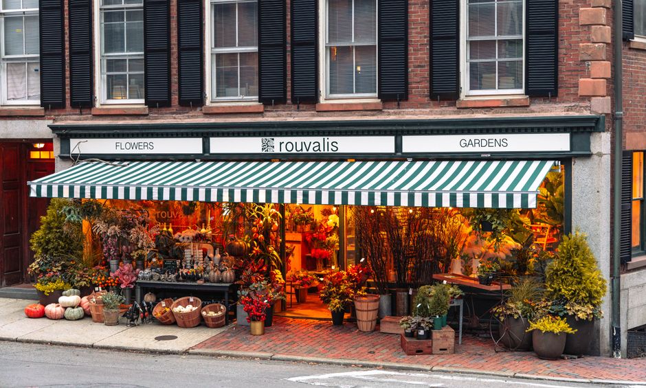 Five Daily Habits Boston Yogis Swear By for Real Wellness Gains
