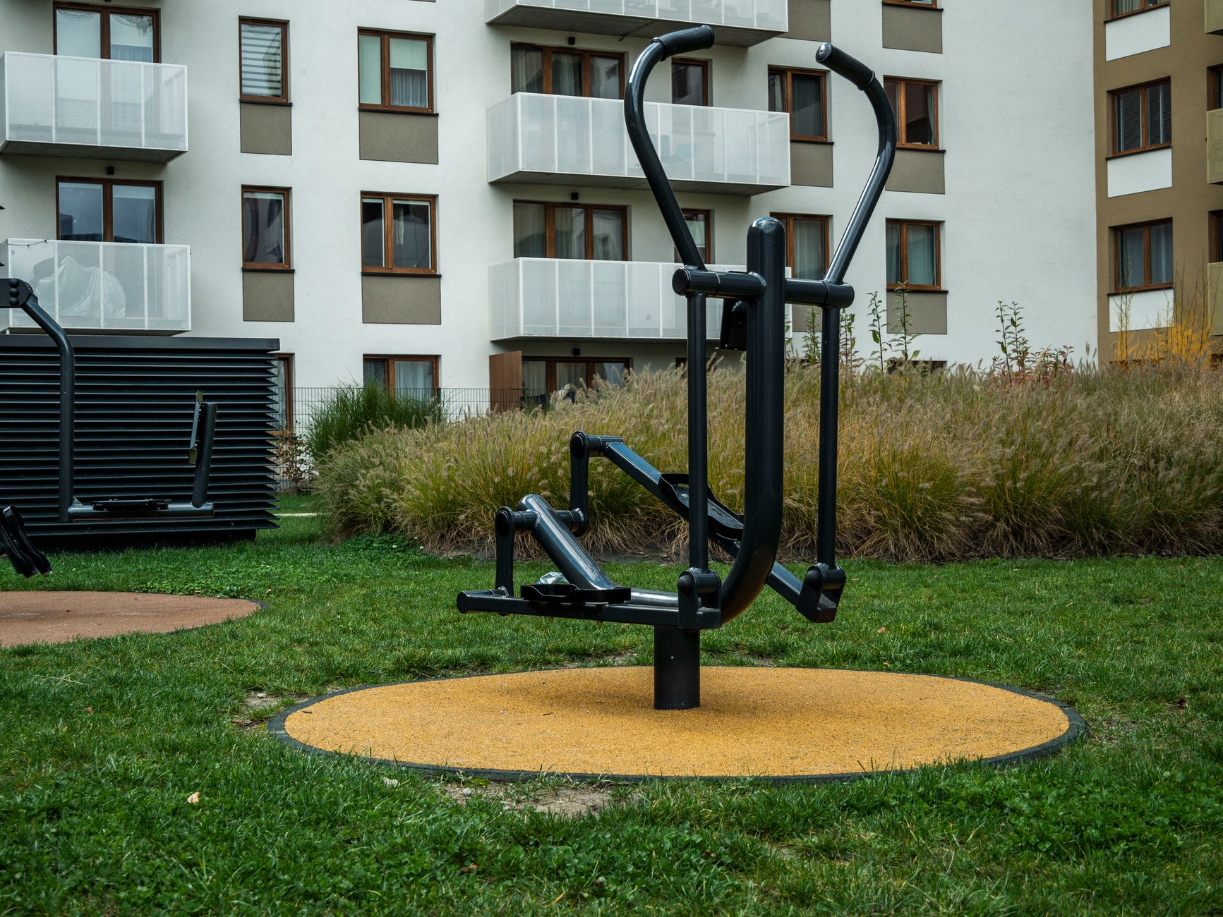 Where to Find the Best Parkrun Near You in Berlin