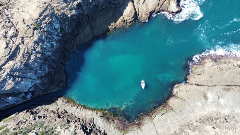 Central Coast Marine Discovery Centre launches new Science in the Suburbs community talks