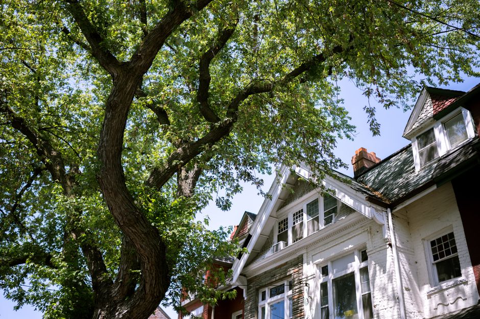 San Antonio Sees Growing Divide Between House and Unit Prices—Here’s Why It Matters