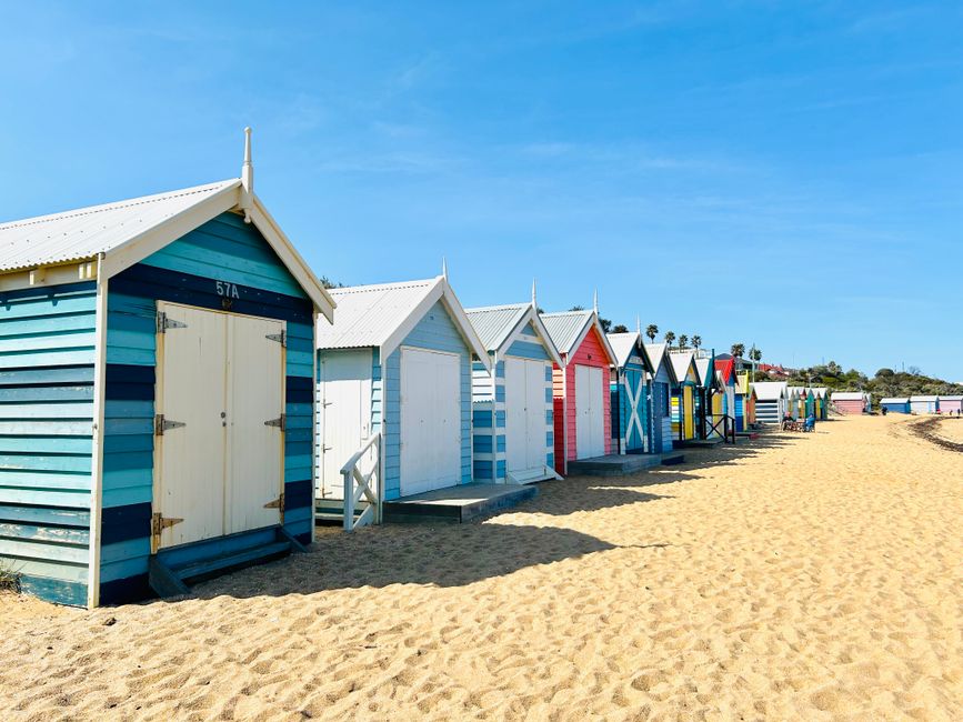 Complete guide to the best local experiences right now
