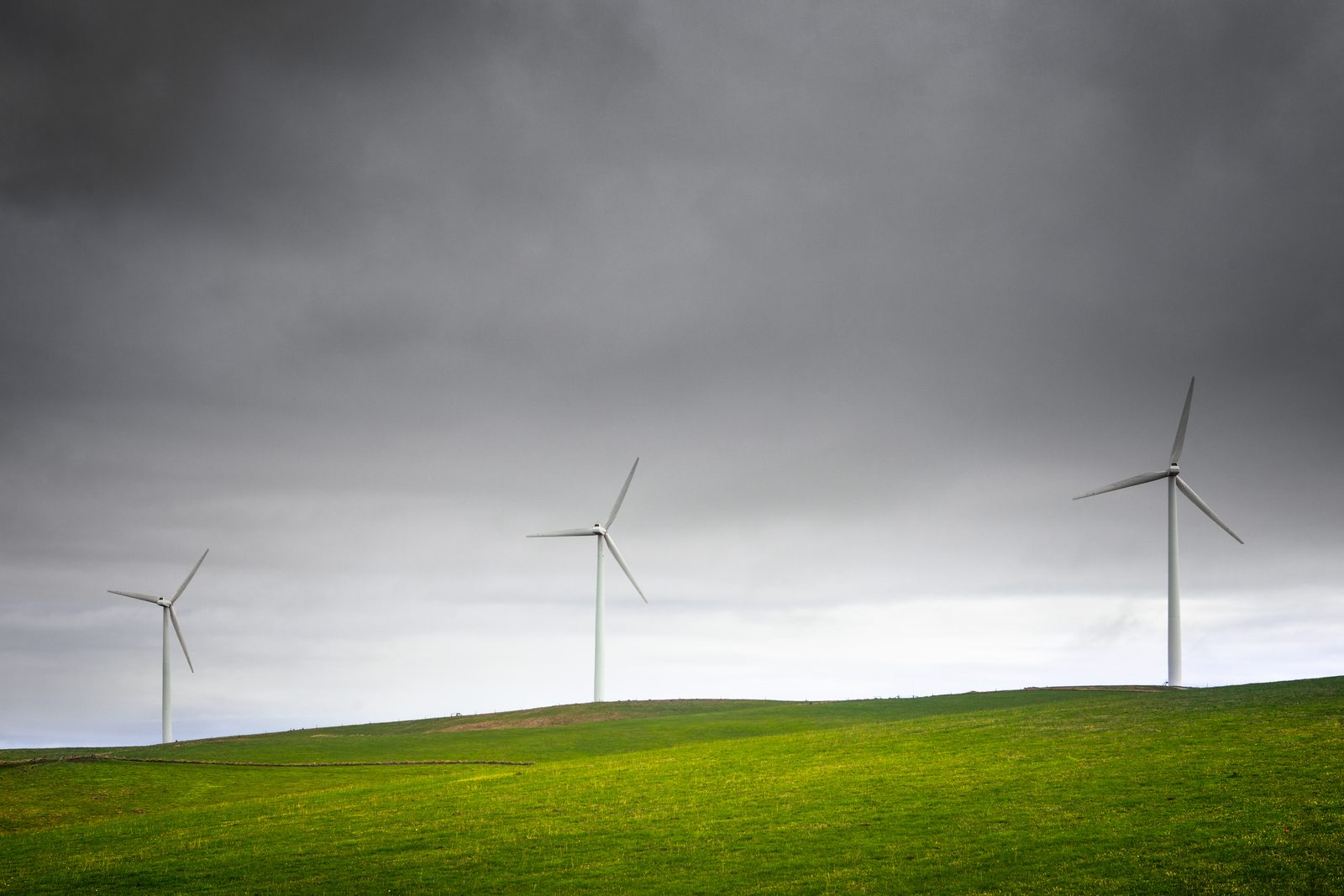 Canberra's Green Tech Startups Gain Global Edge Through Federal Connections