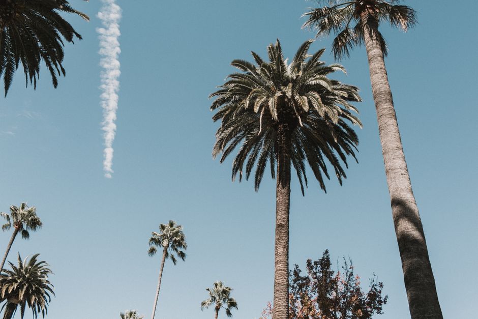 LA's Climate Push Accelerates This Week: Major Wins for Recycling, Transit and Green Energy
