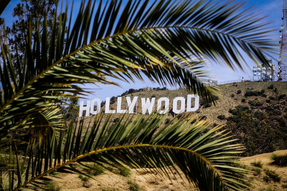 A Complete Guide to the Best Local Experiences Right Now
