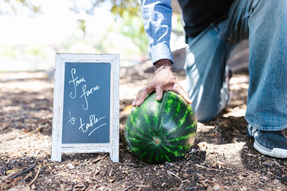 Farm to Table on the Central Coast: How Local Produce is Transforming the Way We Eat
