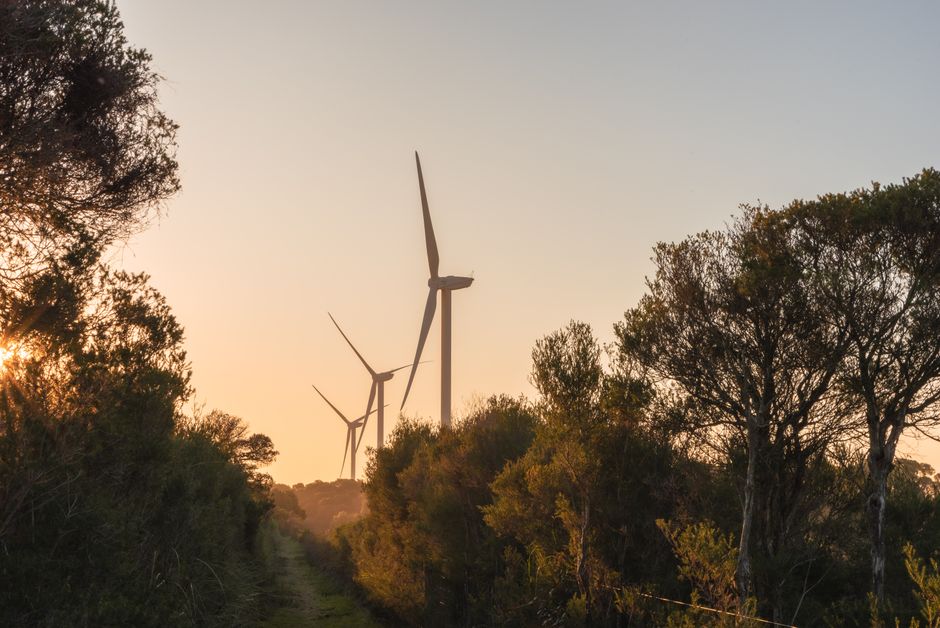 Perth Clean Energy Startups Scale Operations Amid Renewable Energy Push