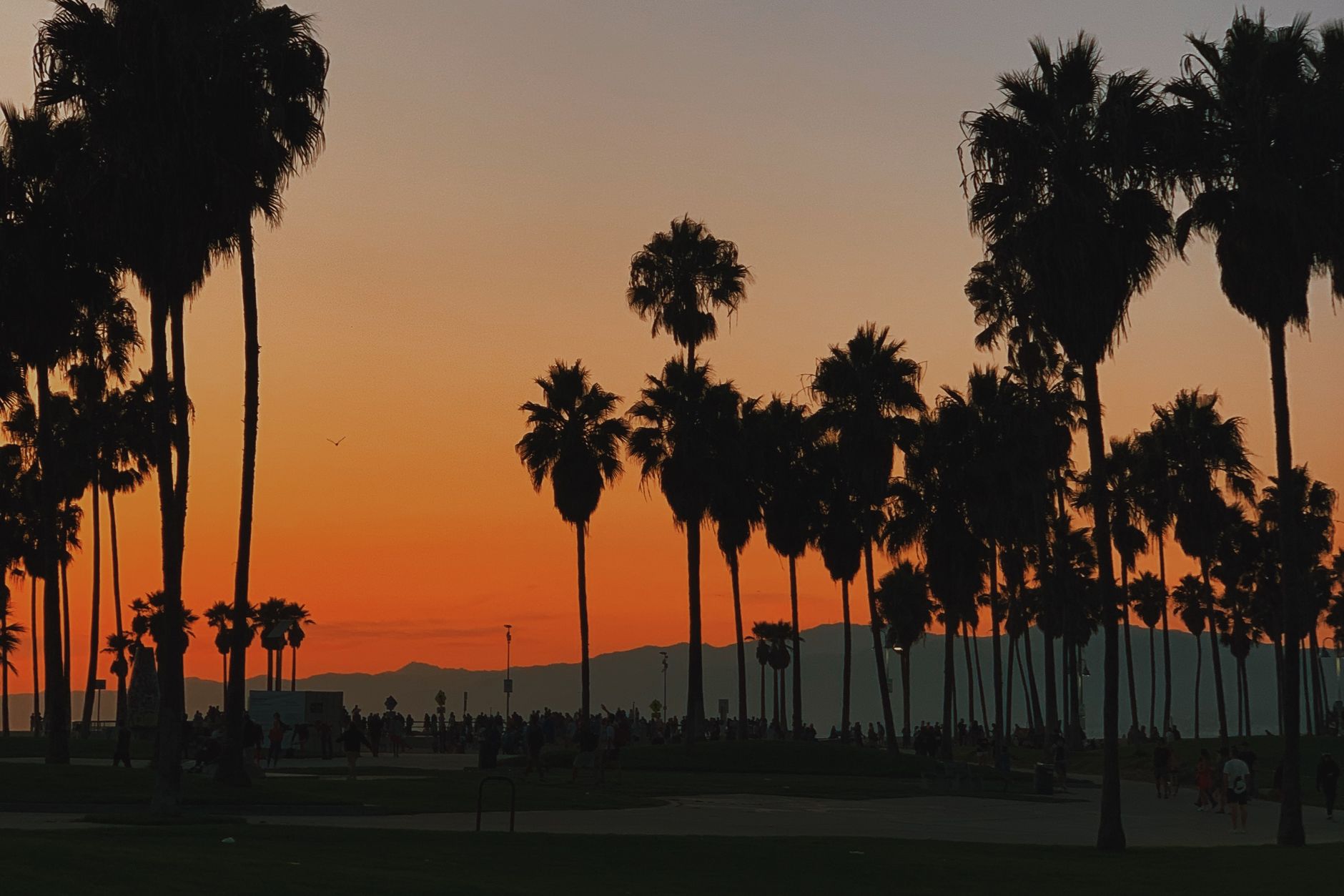 Free Community Fitness Events Happening This Month in Los Angeles