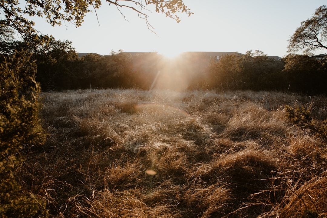 Sunrise Yoga San Antonio: Best Parks & Spots