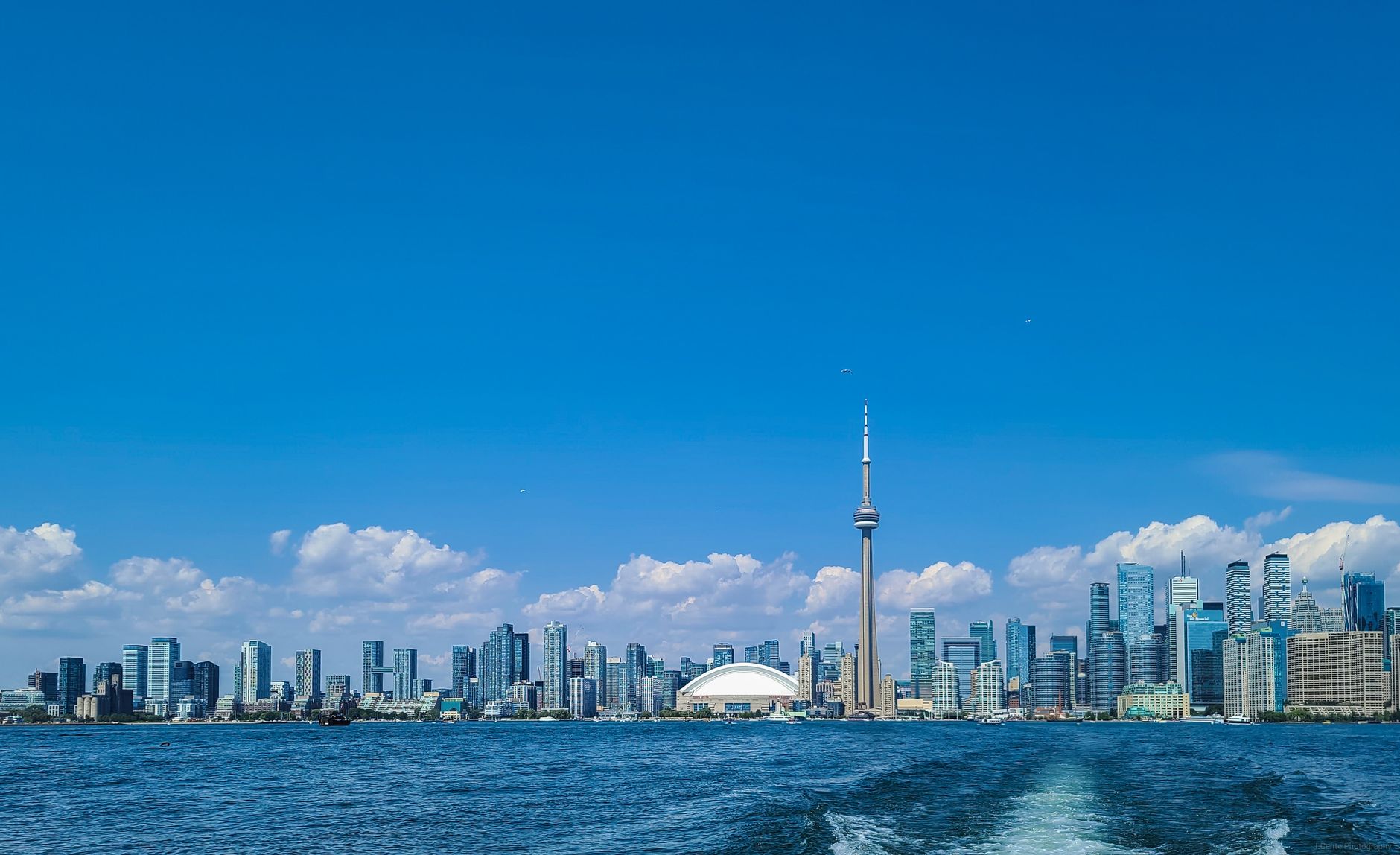 Toronto Tech Startups Reshaping City Transit and Delivery