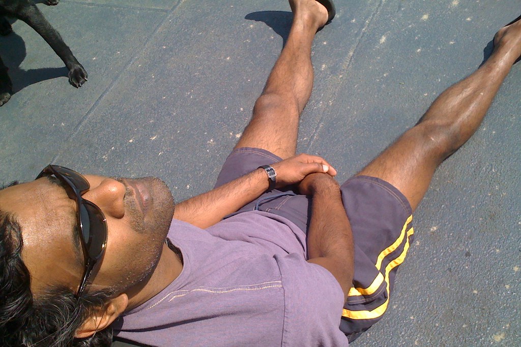 Dog-Friendly Parks Seattle: Fitness Hubs for Pets & Owners