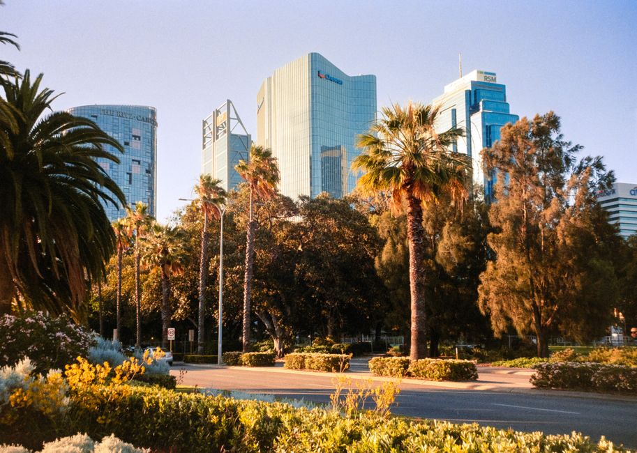 Perth's startup scene battles cybersecurity crisis as breaches spike across young tech firms