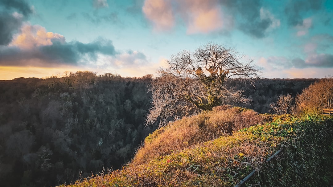 St Philip’s Marsh: The Gentrifying Pocket Attracting Bristol’s Young Professionals